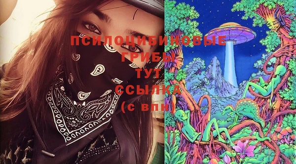 прущая мука Аркадак